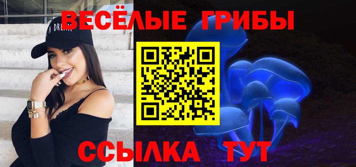 Псилоцибиновые грибы ЛСД  даркнет сайт  Ртищево  Вход с VPN 