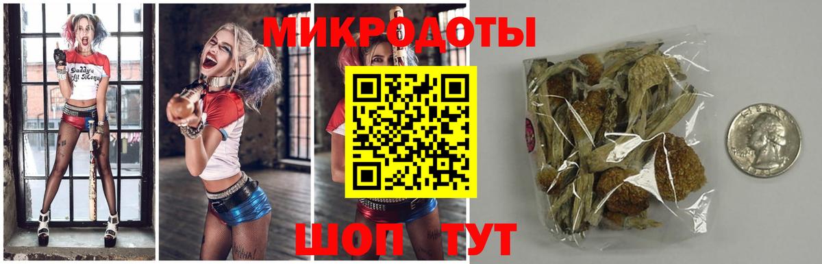 Псилоцибиновые грибы мицелий Ртищево
